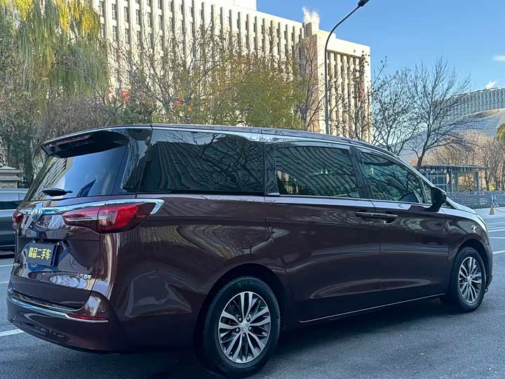 Фото 6 - Buick GL8 ES