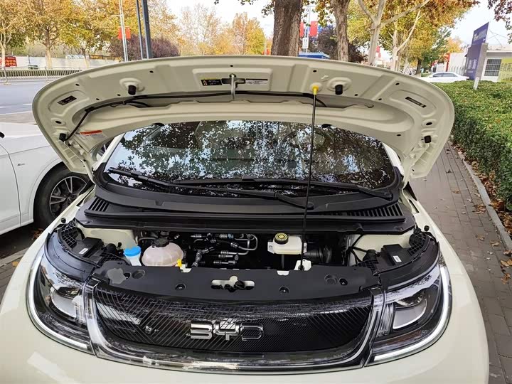 Фото 10 - BYD Dolphin