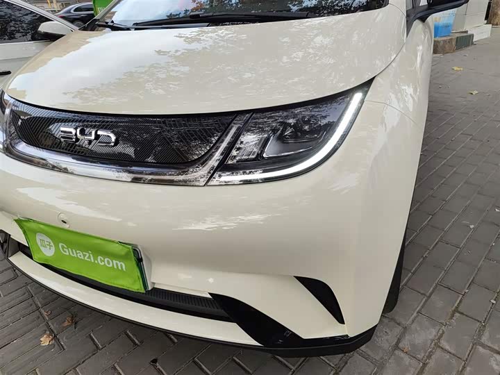 Фото 15 - BYD Dolphin