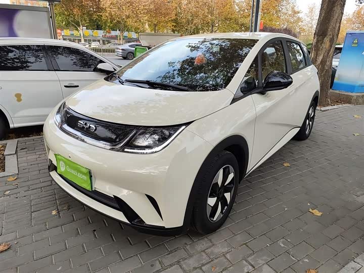 Фото 2 - BYD Dolphin