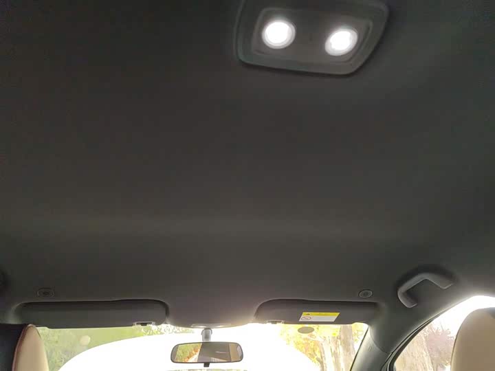 Фото 8 - BYD Dolphin