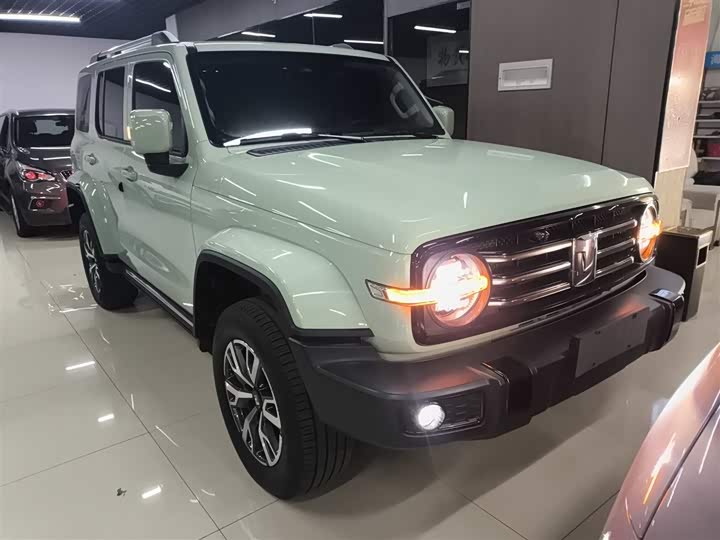 Фото 4 - Tank 300