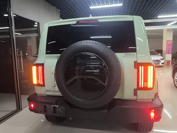 Фото 6 - Tank 300