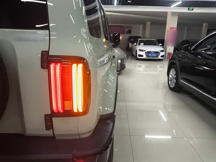 Фото 8 - Tank 300