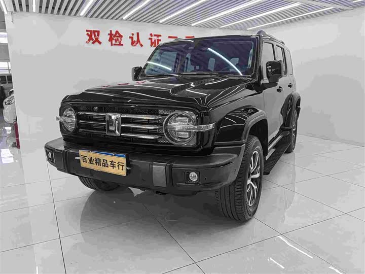 Фото 1 - Tank 300