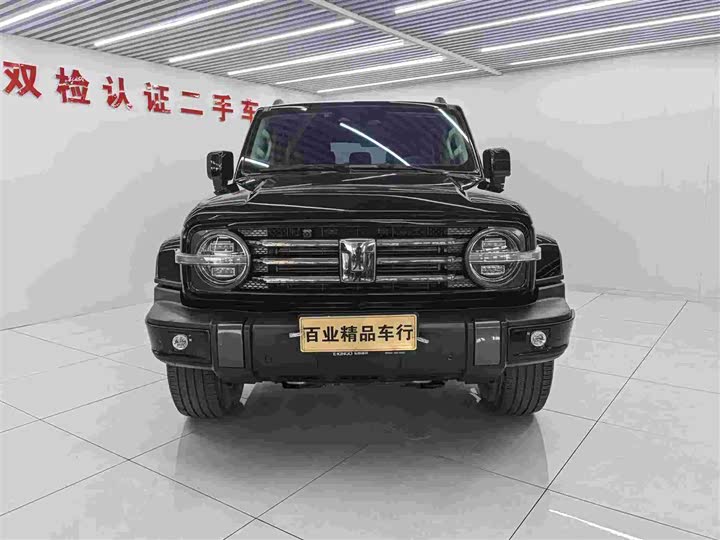 Фото 2 - Tank 300