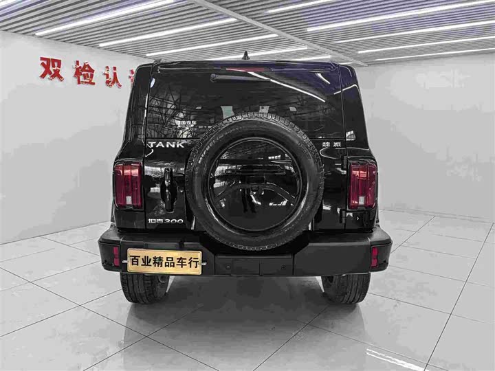 Фото 5 - Tank 300