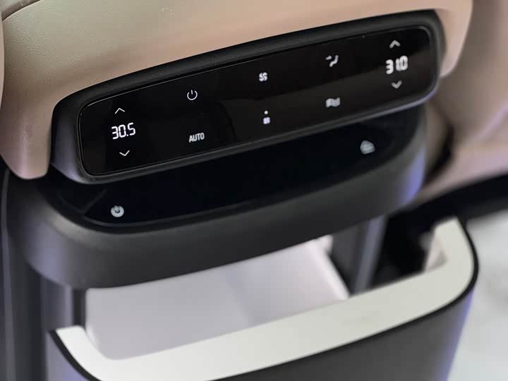 Фото 9 - XPeng X9