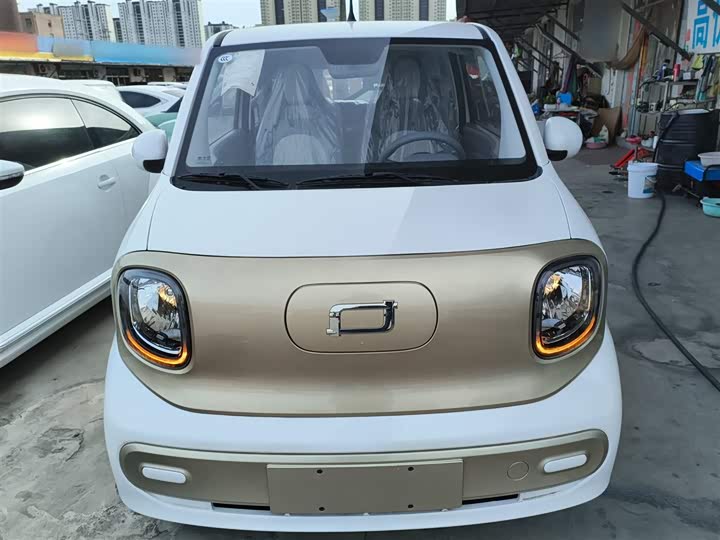 Фото 3 - Bestune Pony