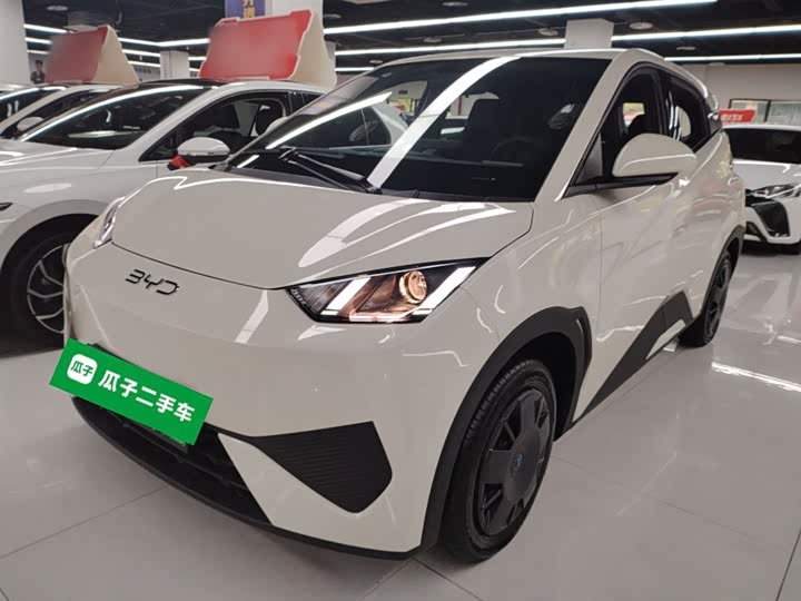 Фото 2 - BYD Seagull