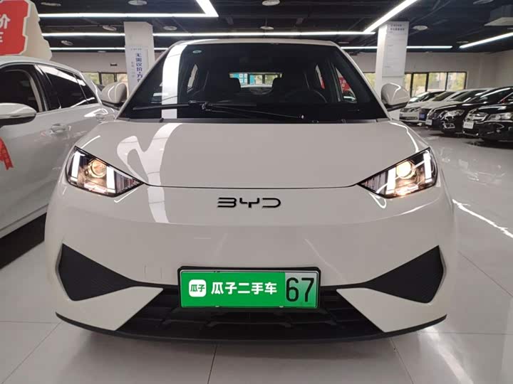 Фото 3 - BYD Seagull