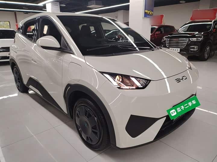 Фото 4 - BYD Seagull