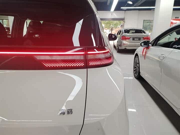 Фото 8 - BYD Seagull