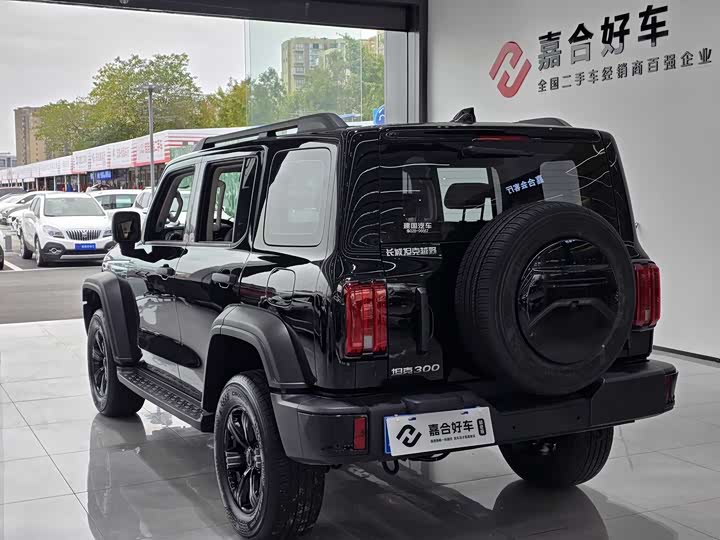 Фото 17 - Tank 300