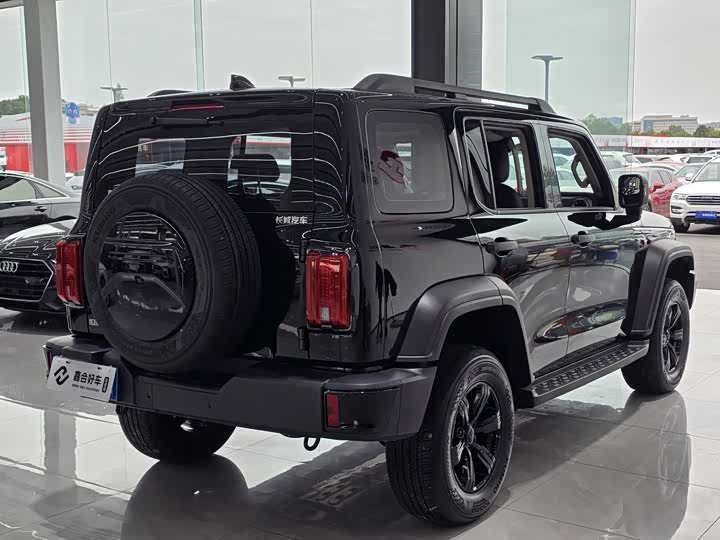 Фото 19 - Tank 300