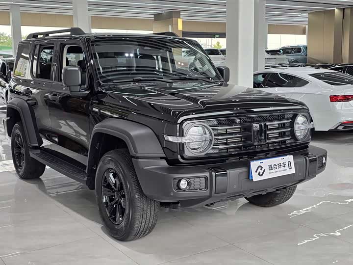 Фото 3 - Tank 300