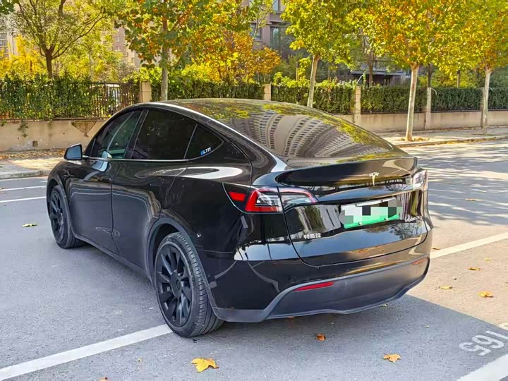 Фото 4 - Tesla Model Y