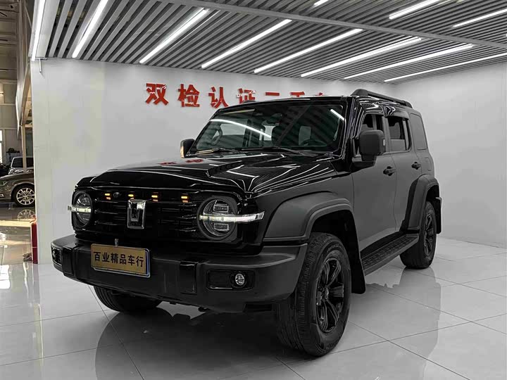 Фото 1 - Tank 300