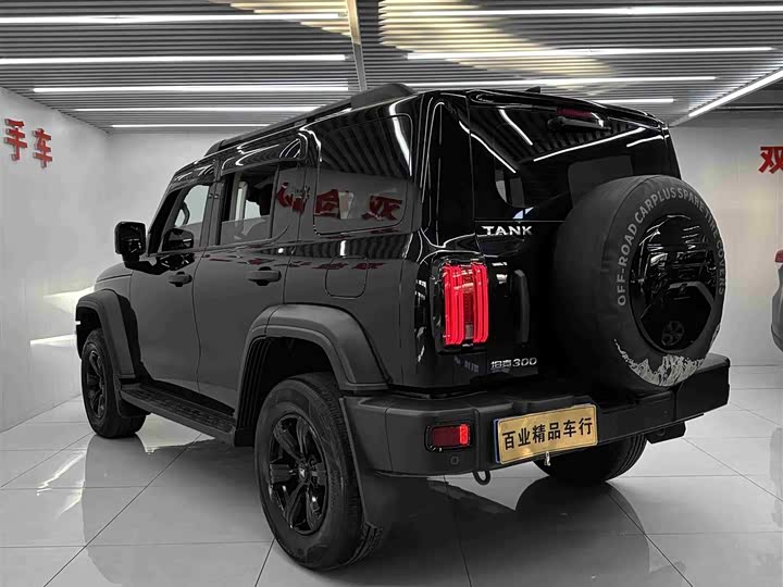 Фото 8 - Tank 300