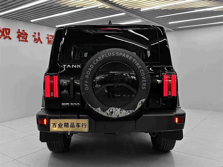 Фото 9 - Tank 300