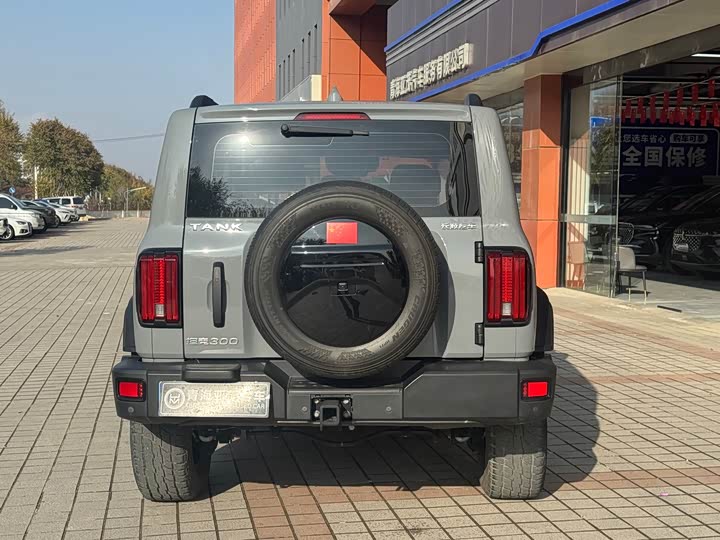 Фото 14 - Tank 300