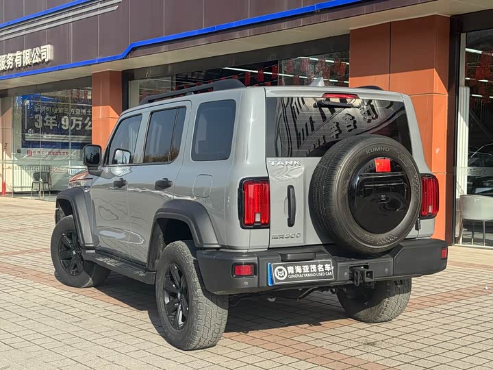 Фото 16 - Tank 300