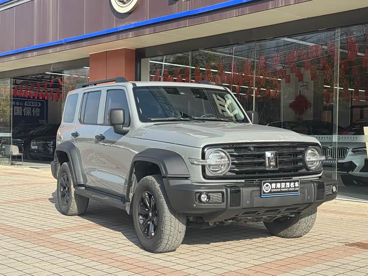 Фото 4 - Tank 300