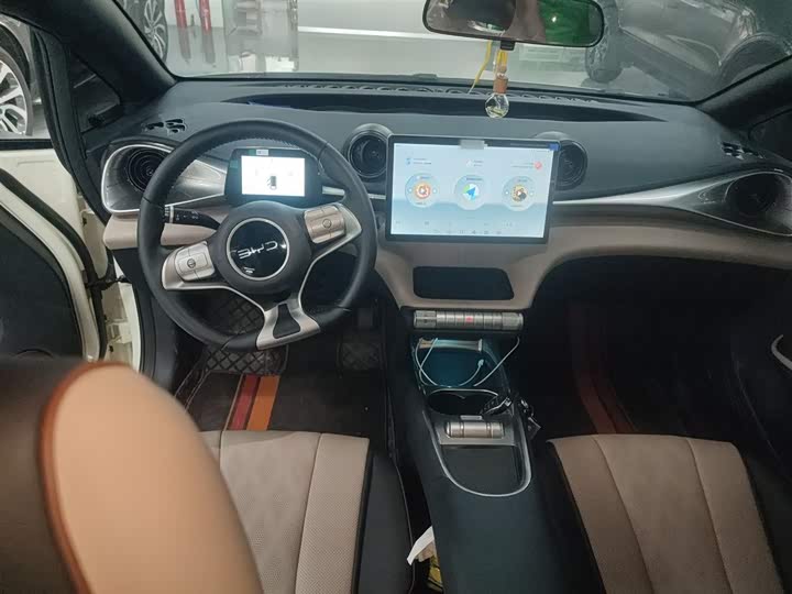 Фото 10 - BYD Dolphin