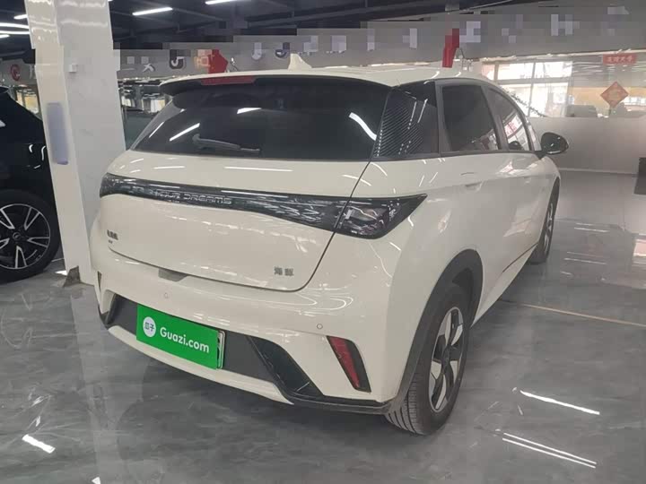 Фото 7 - BYD Dolphin