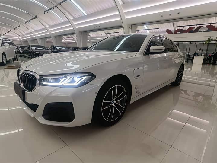 Фото 1 - BMW 5 Series Hybrid