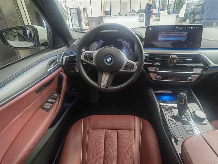 Фото 13 - BMW 5 Series Hybrid