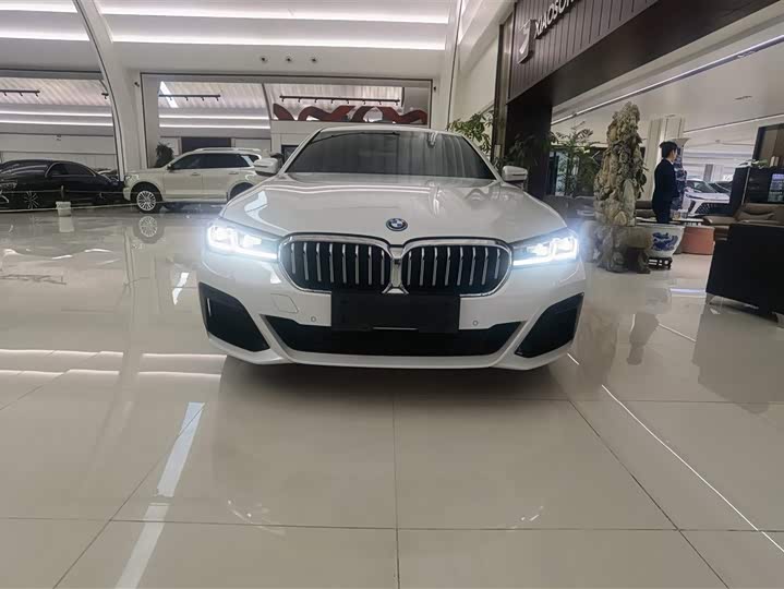 Фото 2 - BMW 5 Series Hybrid