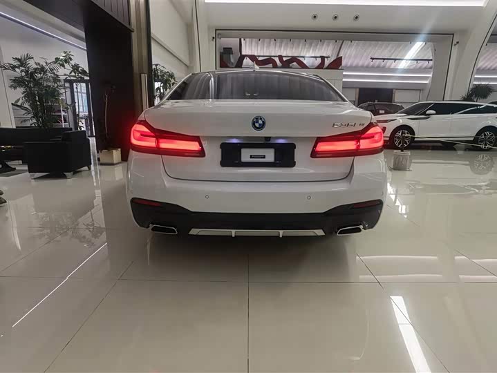 Фото 4 - BMW 5 Series Hybrid