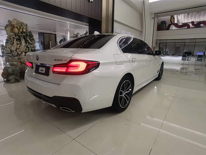 Фото 5 - BMW 5 Series Hybrid