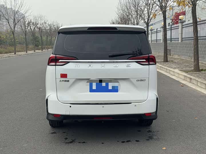 Фото 11 - Maxus G50