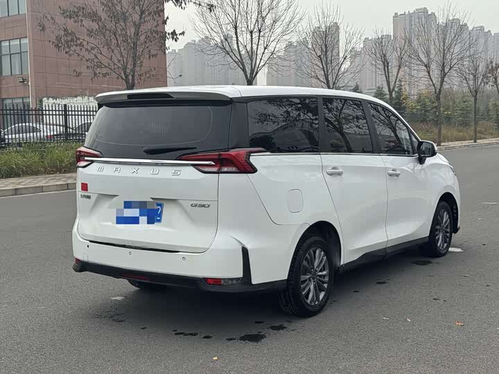 Фото 12 - Maxus G50