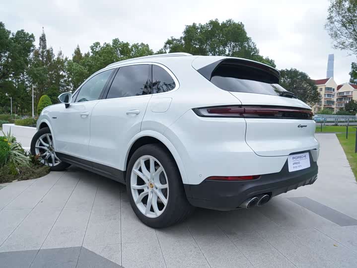 Фото 19 - Porsche Cayenne Hybrid