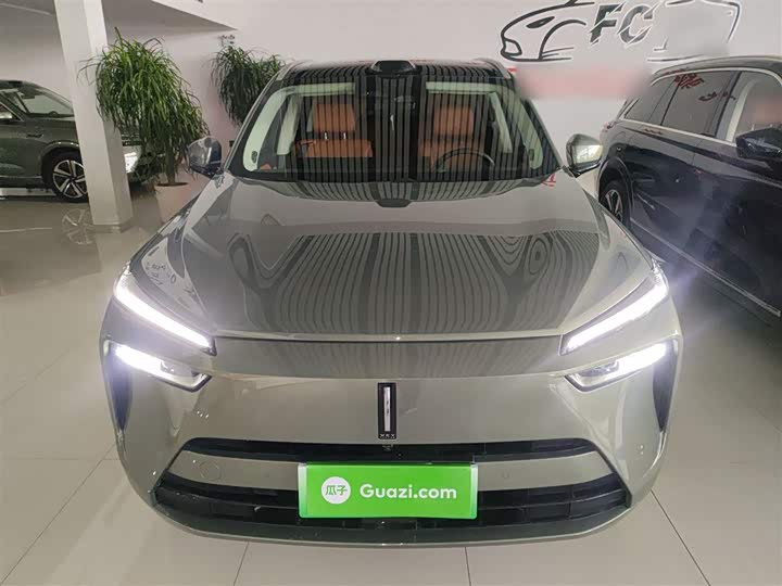 Фото 3 - Wey Lanshan