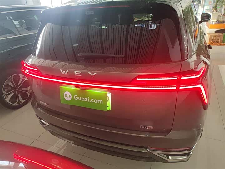 Фото 6 - Wey Lanshan