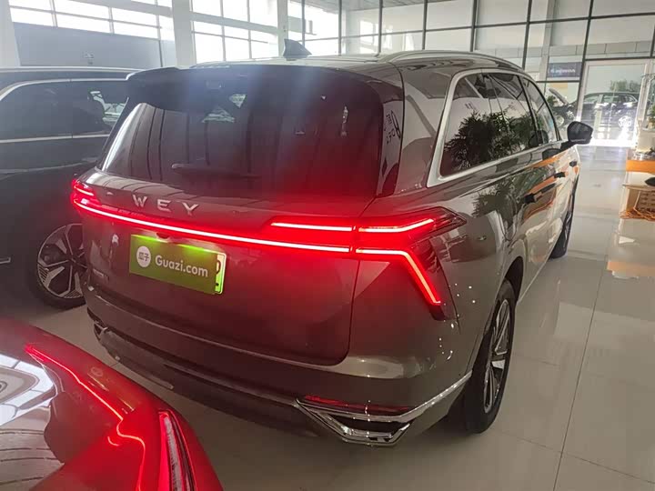 Фото 7 - Wey Lanshan