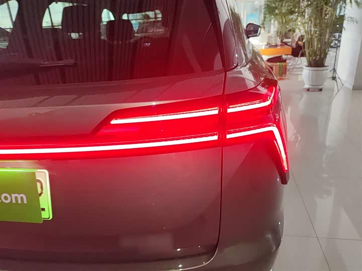 Фото 8 - Wey Lanshan