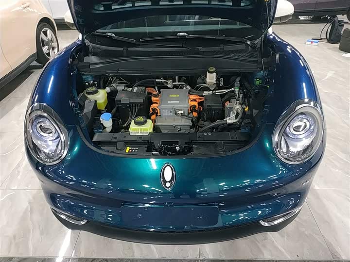 Фото 10 - Ora Good Cat (03)