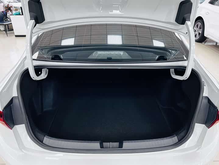 Фото 9 - Volkswagen Sagitar L