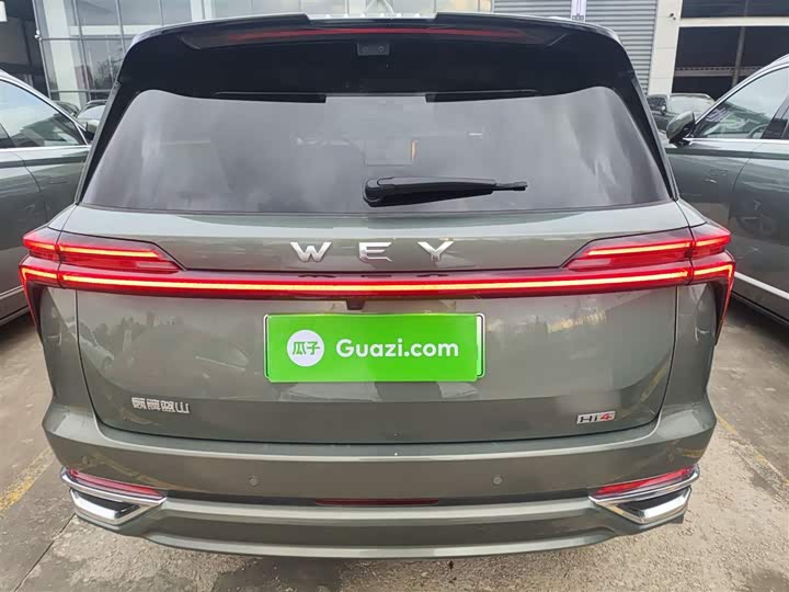 Фото 6 - Wey Lanshan