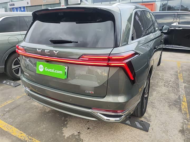 Фото 7 - Wey Lanshan