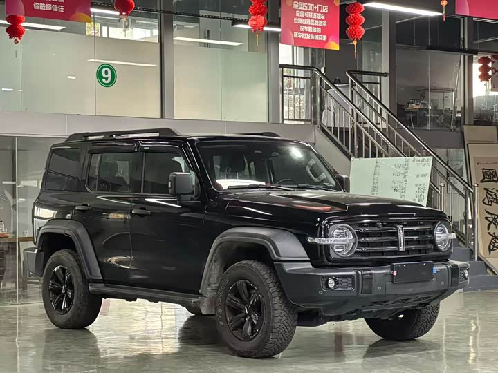 Фото 3 - Tank 300