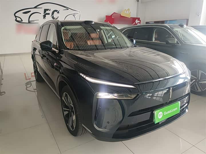 Фото 4 - Wey Lanshan