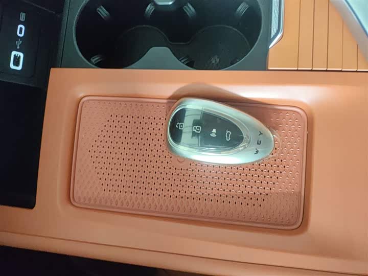 Фото 9 - Wey Lanshan