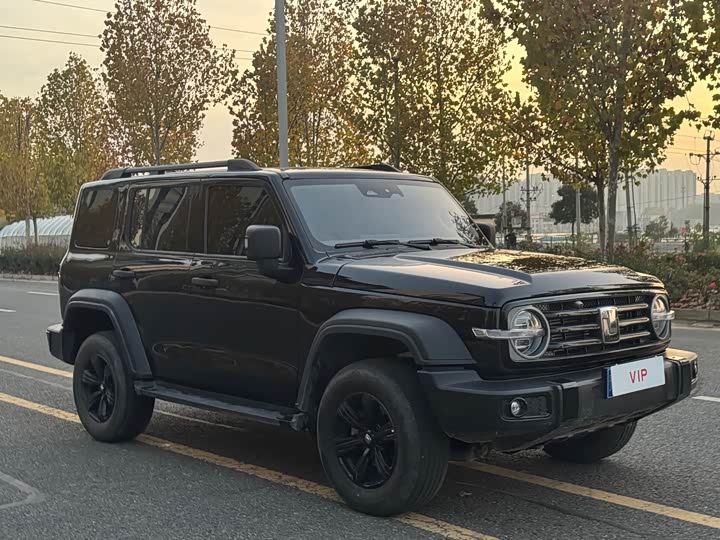 Фото 1 - Tank 300