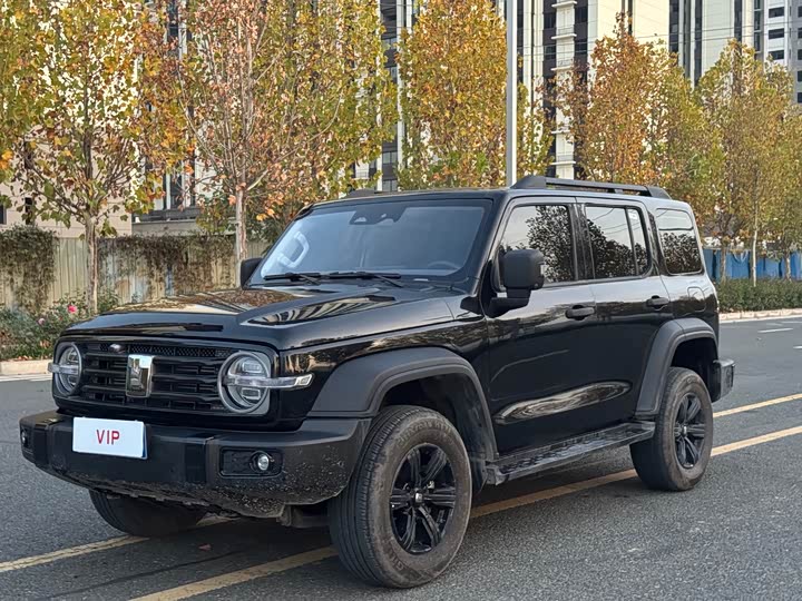 Фото 3 - Tank 300